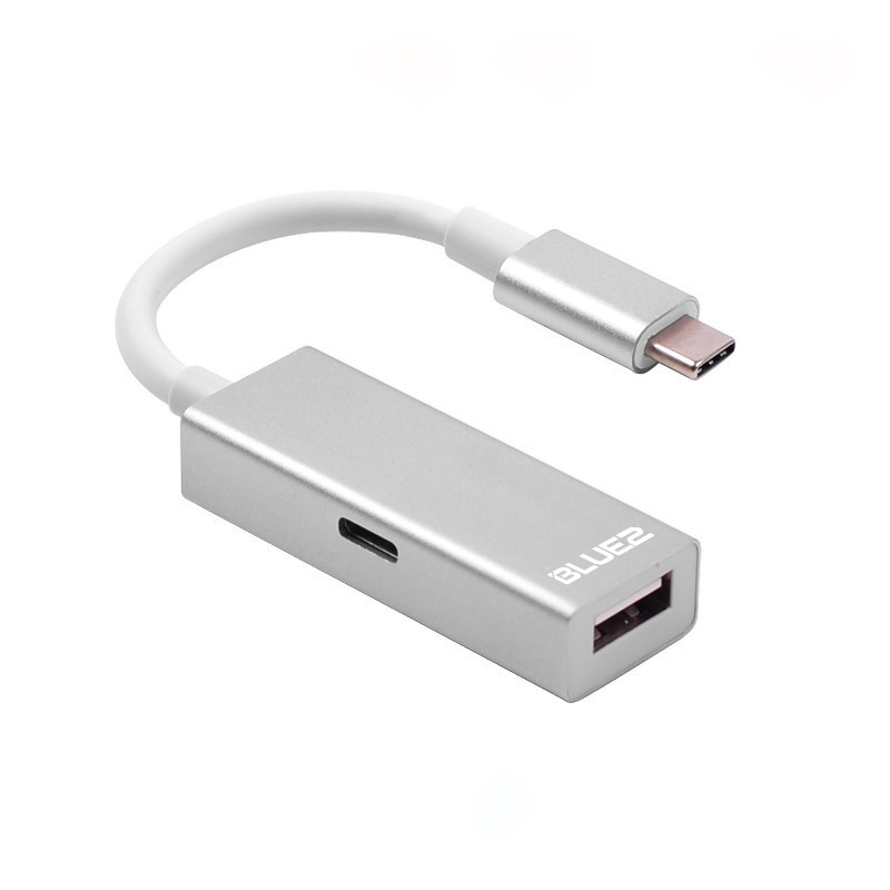 2-in-1 Type-C to USB 2.0 Hub TC010